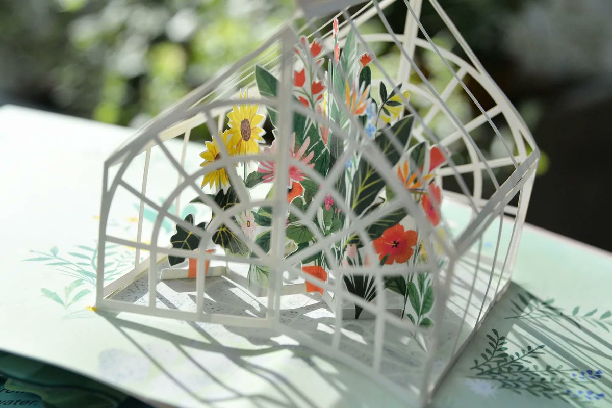 Sage & Cypress Books tweet media