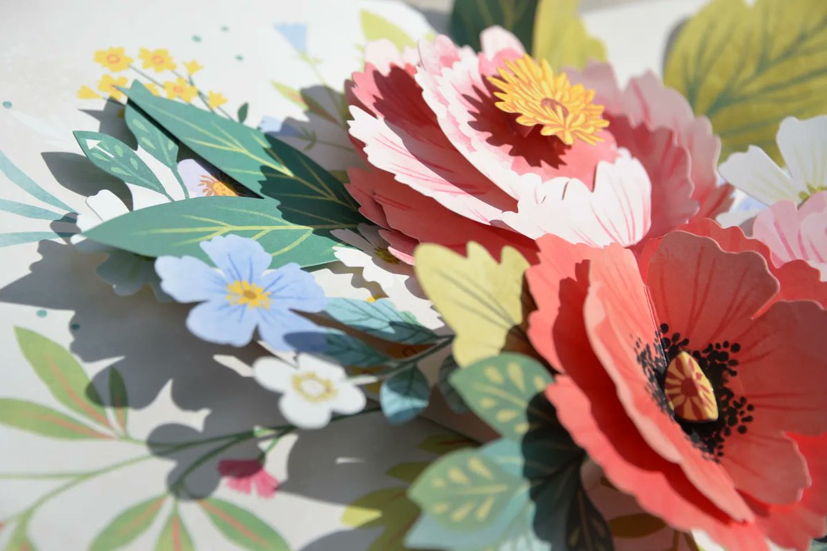 Flora : a botanical pop-up book
เป็นหนังสือที่เปิดเล่มออกมาแล้วกรี๊ดมากกกกก pop-up กันพรึ่บพรั่บบ สวยมากกกกก โฮฮฮ 😭🤍✨️🌿🥀