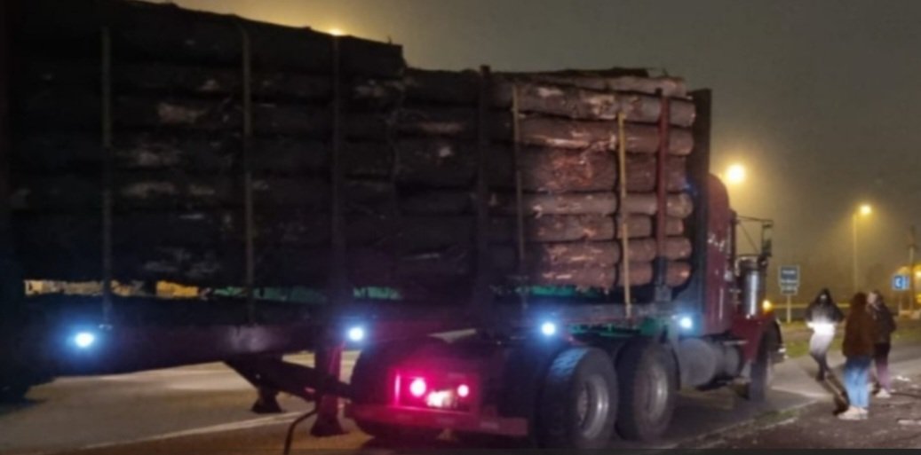 Chileokulto's tweet photo. [Lo más leido] 
No eran mapuche, eran camioneros: Detienen a conductores sorprendidos en 6 camiones con patentes adulteradas y madera robada en Arauco. 4 camiones se dieron a la fuga.     
https://t.co/HJTFajSfsB https://t.co/v1pvXnrvyI
