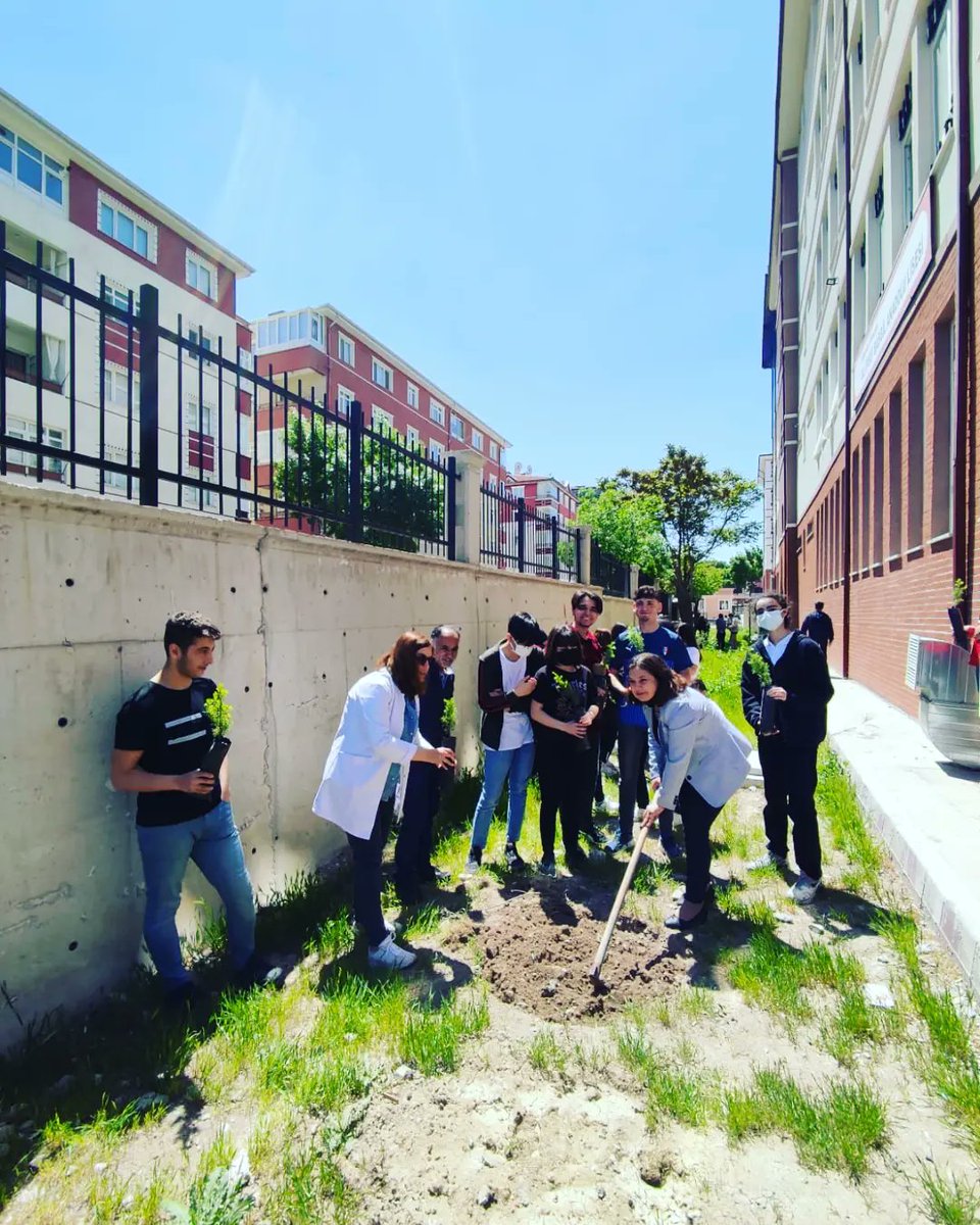Sincan Ali Fuat Başgil Anadolu Lisesi yaza yeni fidanlarla merhaba diyor! Zülal Kütük ve Funda Demirel öğretmenlerimize teşekkürler! #çünkübütünrenkleryeşildendoğar