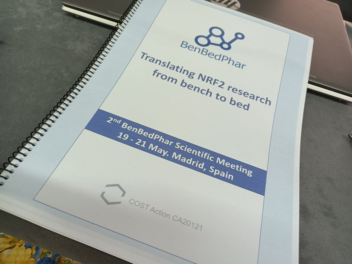 Sandra Tenreiro tweet media