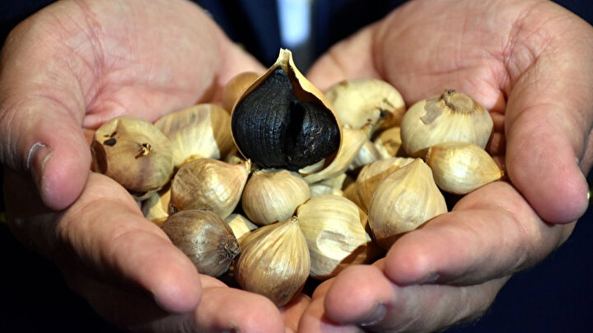 Kastamonu'da yetiştirilen ve , Avrupa Birliği nezdinde tescillenen sarımsağı fermantasyon sürecinden geçirerek "siyah sarımsak" elde eden Türk girişimci, kilosu 25 liradan satılan sarımsağı yurtdışında kilosu yaklaşık 34 bin TL'ye satıyor. haber3.com/foto-galeri/ha…