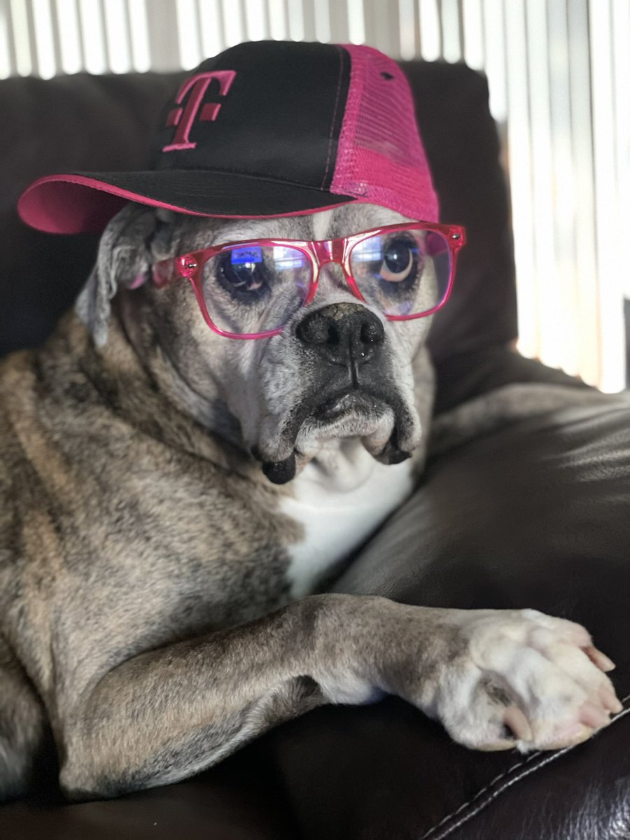 LouD3L3on's tweet photo. @TMobile Reporting for duty!
#magentastrong https://t.co/9WlEyLnm04