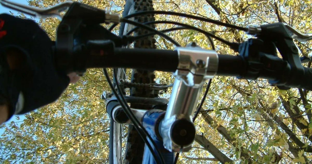 "We hadn’t been out more than 30 minutes when I fell off the bike so hard that I disengaged the front wheel from the fork of the bike! It was then that I understood why my friend had removed the extra artifacts from my bike."

buff.ly/3x8fTvq