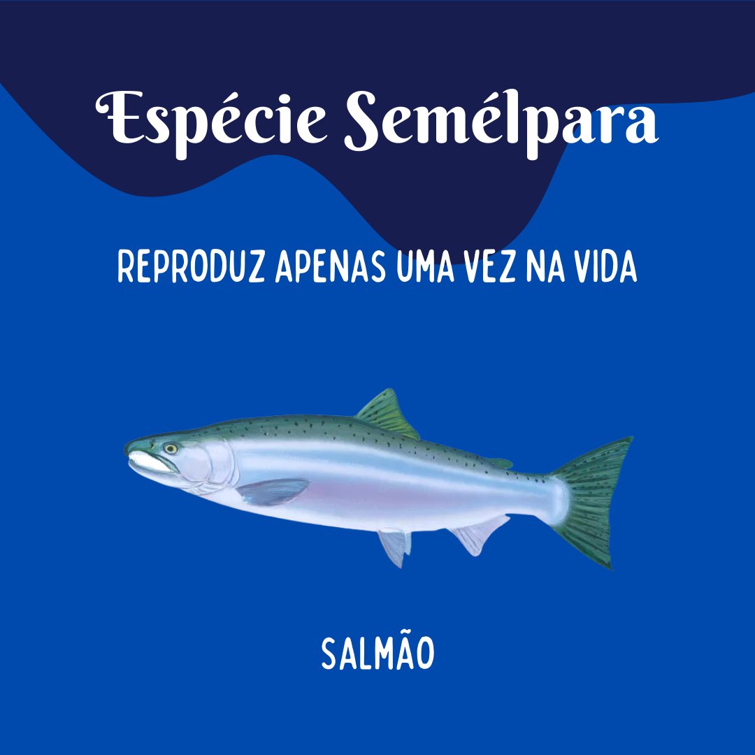 labictioufs's tweet photo. Venha conhecer mais sobre as Estratégias e Táticas Reprodutivas das espécies!

Clique aqui: https://t.co/p9jyd4ysSu https://t.co/06xeCTcrXA