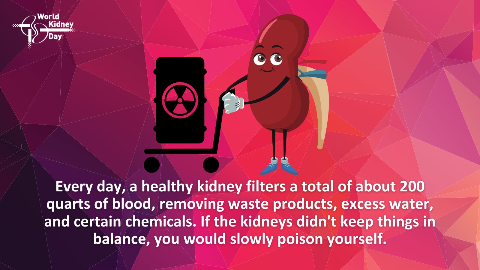 World Kidney Day on Twitter "Each of your kidneys is made up of about