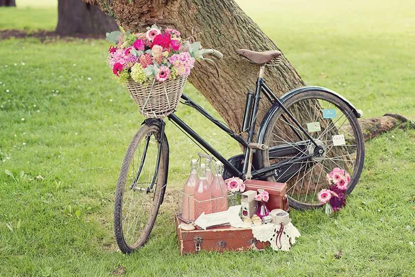 The Wedding Secret tweet media