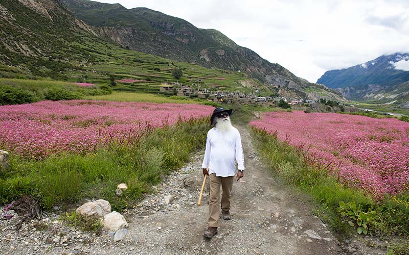 The many colors of the world all depend on one thing – rich Soil. Let us make it happen. #SadhguruQuotes #SaveSoil