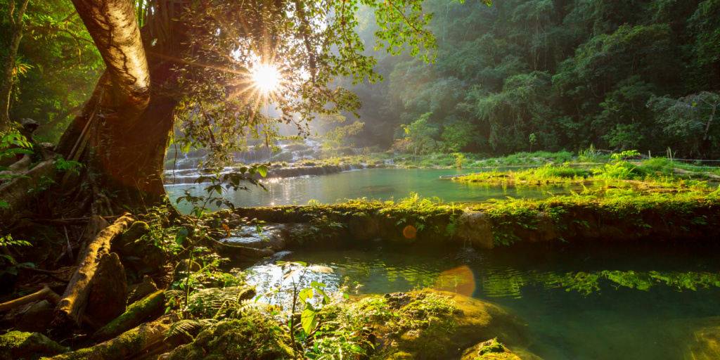 WomenMW's tweet image. Last night was different @fitzmuseum¬_uk #TrueToNature hosted by @HCRlaw. Thank you  @IA_Law for excellent presentation along with @SarahElizWoods @bsbibotany, @FoodMarketingEx &amp;amp; RSPB @Natures_Voice It’s not just about business...Well it is but add community &amp;amp; climate change too