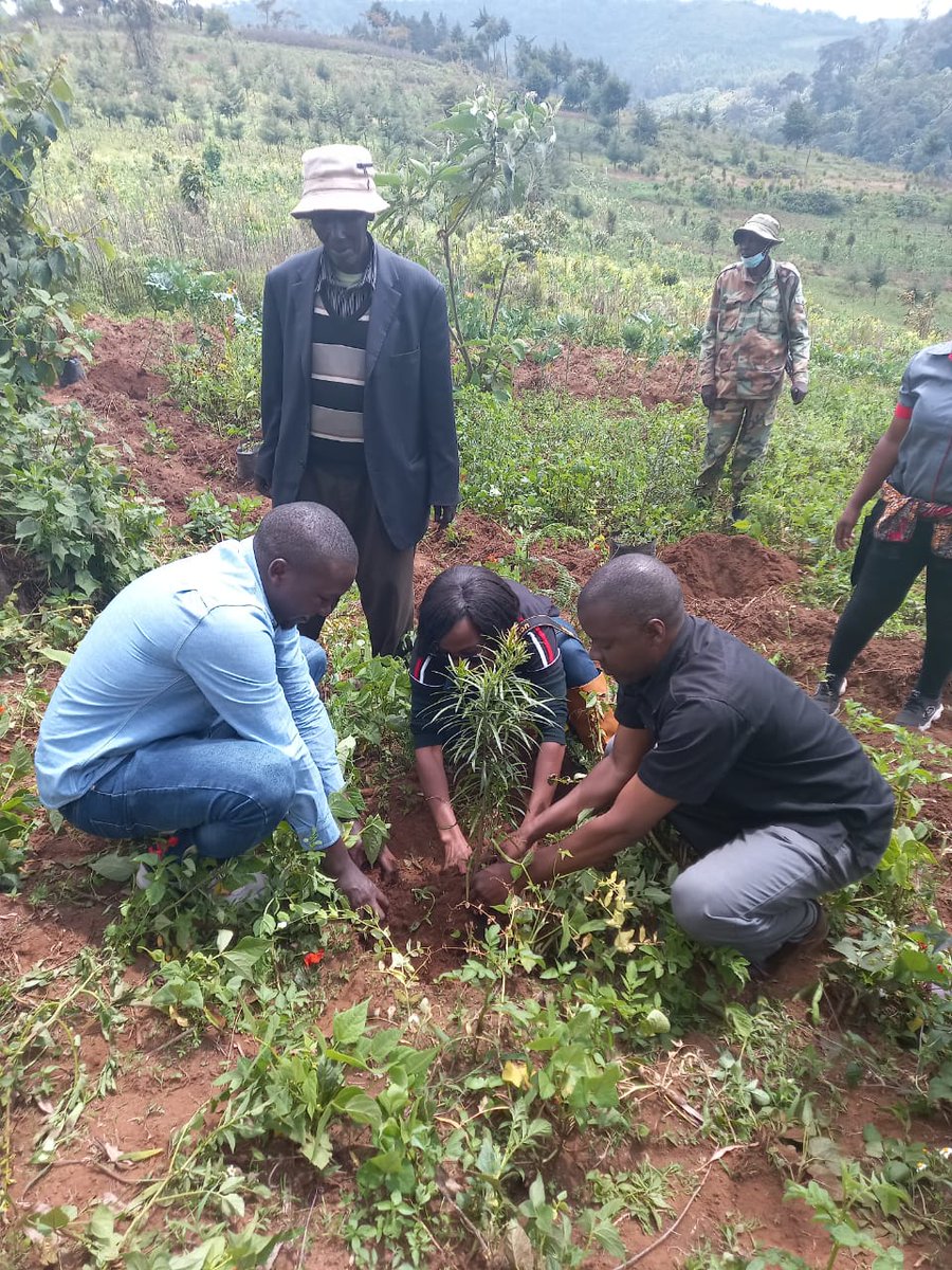 Nature_Kenya's tweet image. It is possible to engage the private sector in forest restoration. @Nature_Kenya is working with several corporates to grow trees in Kenya's degraded forests. Today we planted trees at the Thogoto forest block with the @PrivatizationKe 
#PCFiT 
#PartnershipsForSustainability