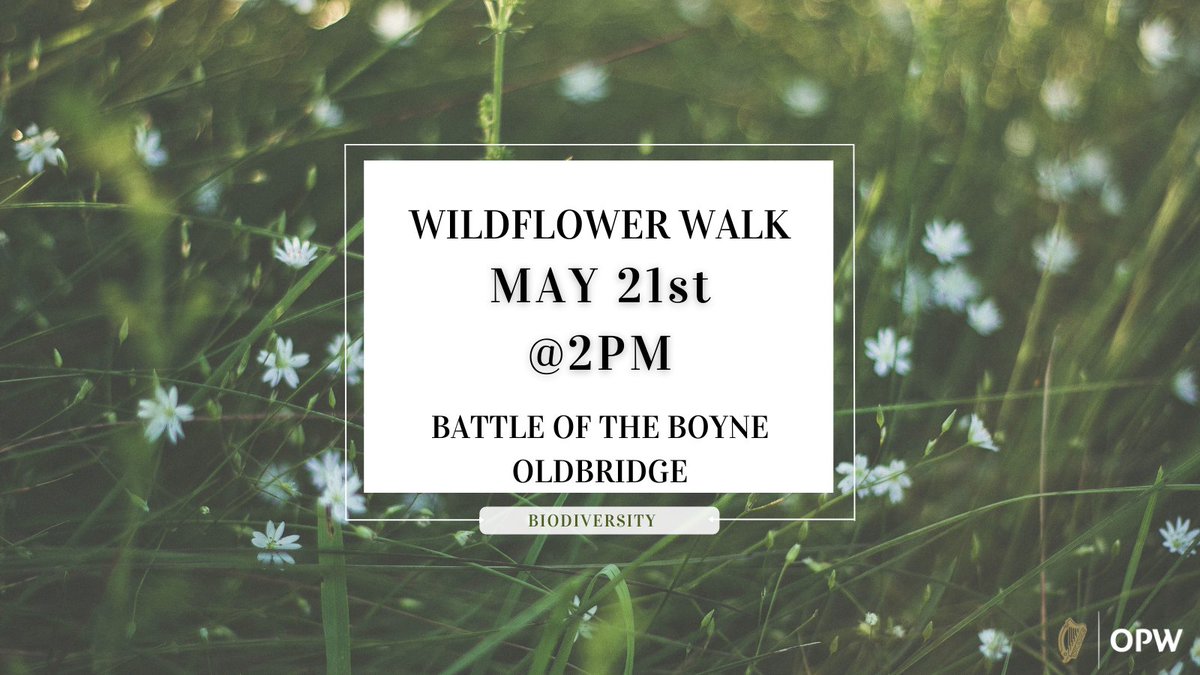 HeritageIreOPW's tweet photo. Want to learn more about biodiversity and wildflowers?
Join this wildflower @battleofboyne.
Visit https://t.co/kj6HH7H6F4 for more details on these and more events.
#InOurNature #biodiversity #thingstodo #visitforfree #loveireland #visitIreland #thingstodofamily https://t.co/NQbn7Ukx2e