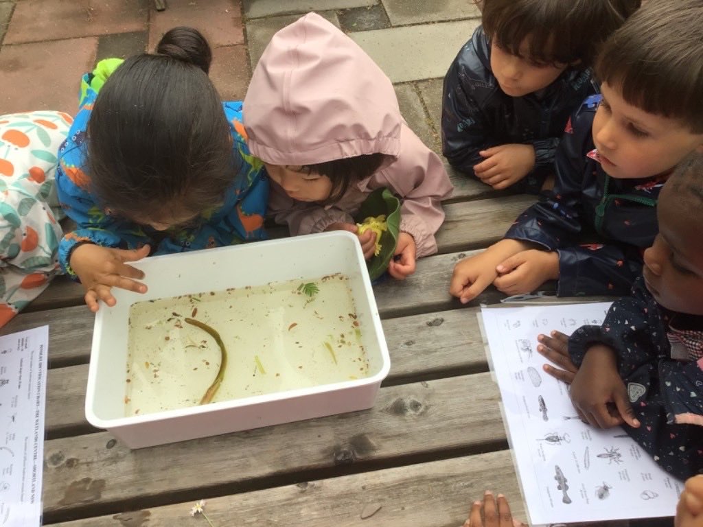 BSNJSV's tweet photo. Beneath the surface of the JSV pond, there's an unseen world of amazing wildlife ready to be discovered. #JSVF1 #JSVFoundation1 https://t.co/j3lezcma0t