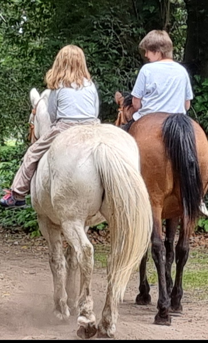 indaleciogb's tweet photo. Adiós, estarás ahora galopando, corriendo, trepando a los árboles, abrazada a todos los animales que te crucen. https://t.co/dXHZ9XjzrA