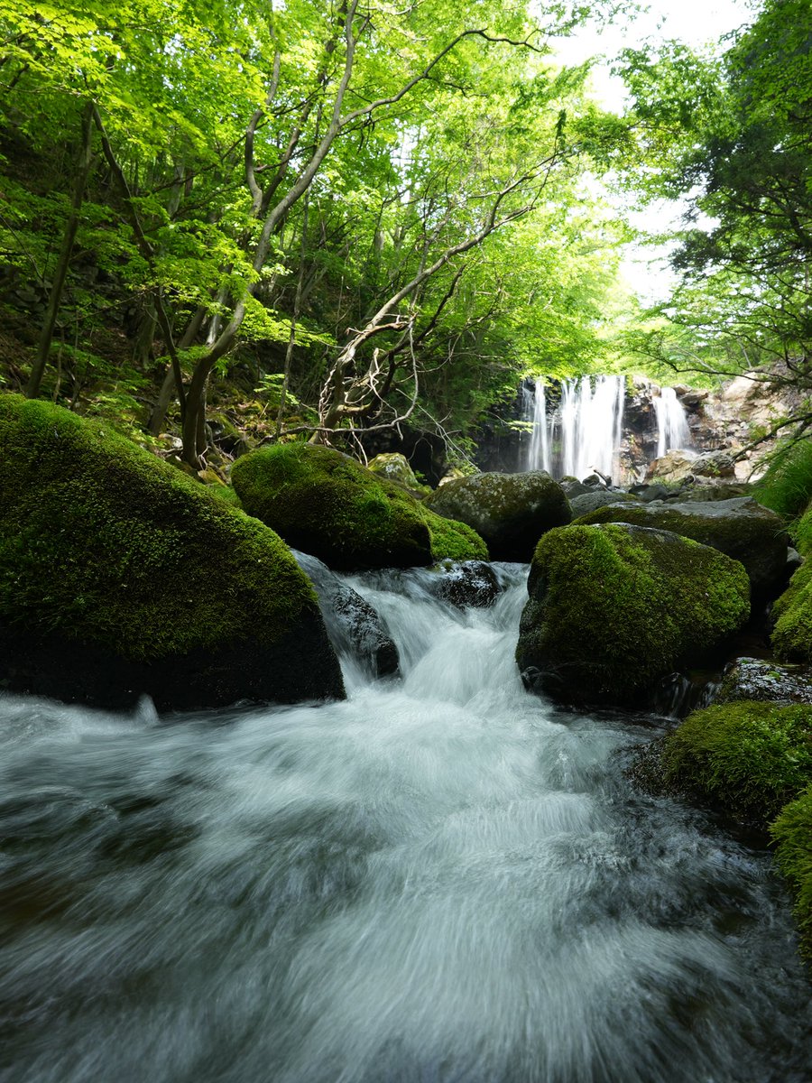 とてもいい場所です！
#那須
#乙女の滝