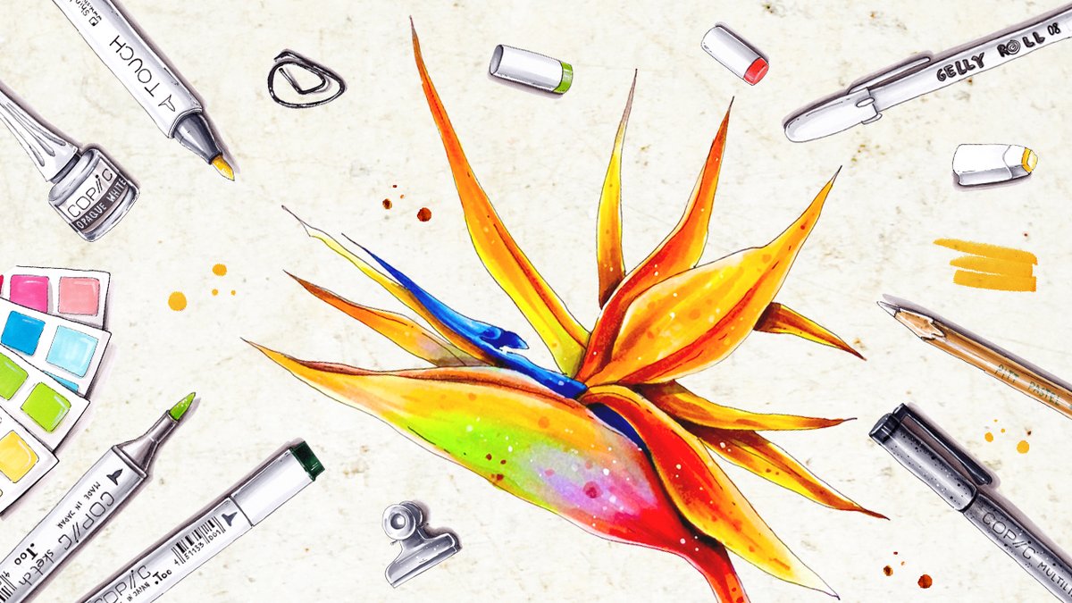 art_is_journey's tweet image. The new video is up! Yay! Check it out! #markertutorial #howtodrawaflower #botanicaltutorial #copicmarkertutorial How to draw flowers with Copic markers | Bird of Paradise Marker Tutorial youtu.be/Ttvr85vfM9w via @YouTube