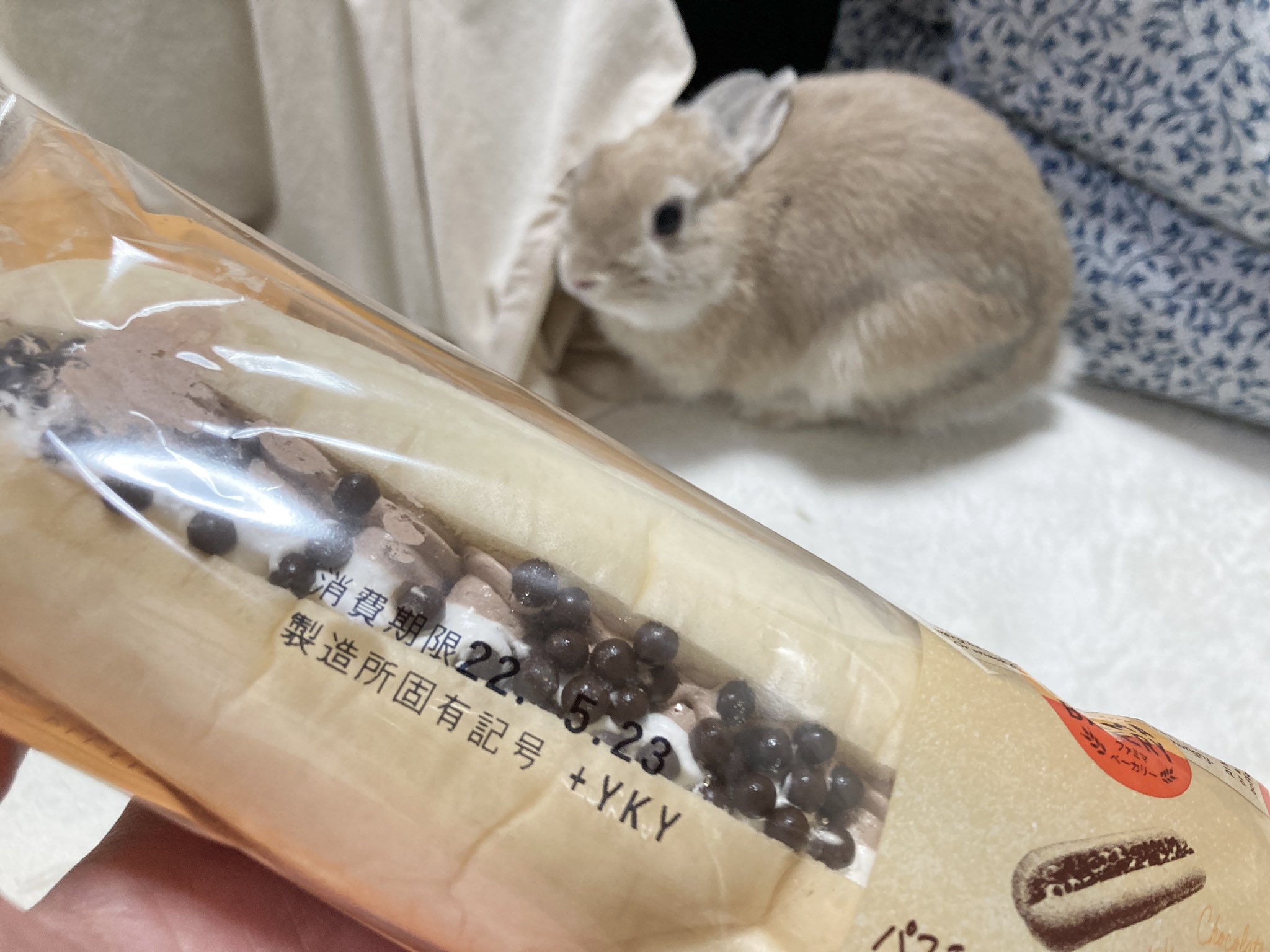 きなこ 呟き主 とん A Twitteren 買っちゃった うさぎのうんこパン ド ストレート T Co Vzkbesmigw Twitter