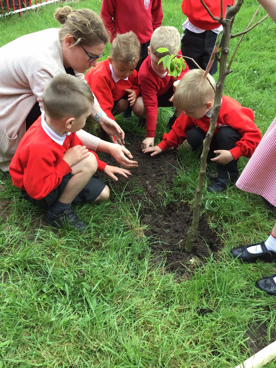 GPSOak's tweet photo. This week Reception have been leaving their legacy in school. They have planted a pear tree that will grow with them on their Gillibrand Journey. #LeaveALegacy https://t.co/yQB45xshxk
