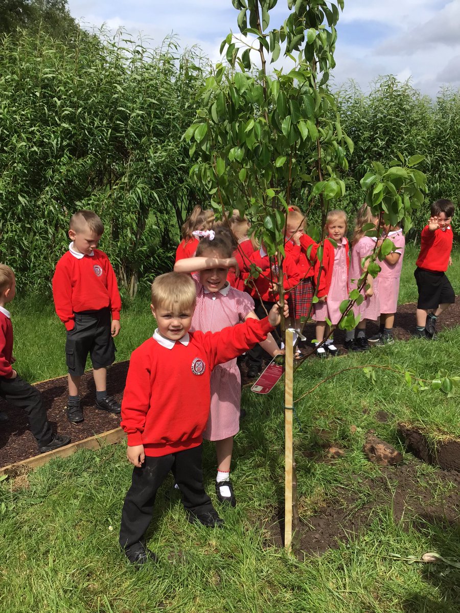 GPSOak's tweet photo. This week Reception have been leaving their legacy in school. They have planted a pear tree that will grow with them on their Gillibrand Journey. #LeaveALegacy https://t.co/yQB45xshxk