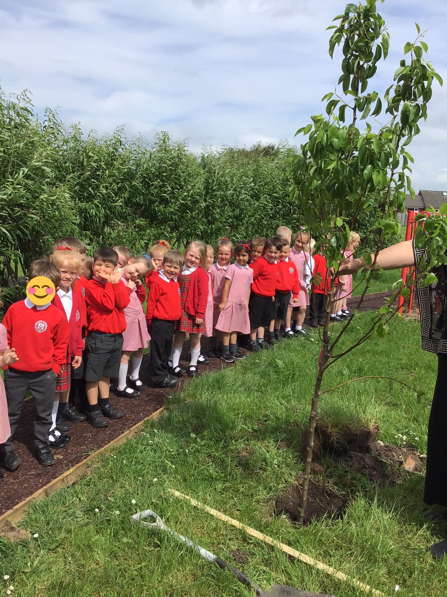 GPSOak's tweet photo. This week Reception have been leaving their legacy in school. They have planted a pear tree that will grow with them on their Gillibrand Journey. #LeaveALegacy https://t.co/yQB45xshxk