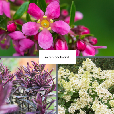 Today is #WorldBeeDay 2022🐝🐝🍯Do your bit in the garden to save them with the <a href="/BorderinaBox/">Border in a Box</a> Butterflies &amp; Bees Gardening Gift borderinabox.com/.../butterflie…
#bees #doyourbit #garden #WorcestershireHour