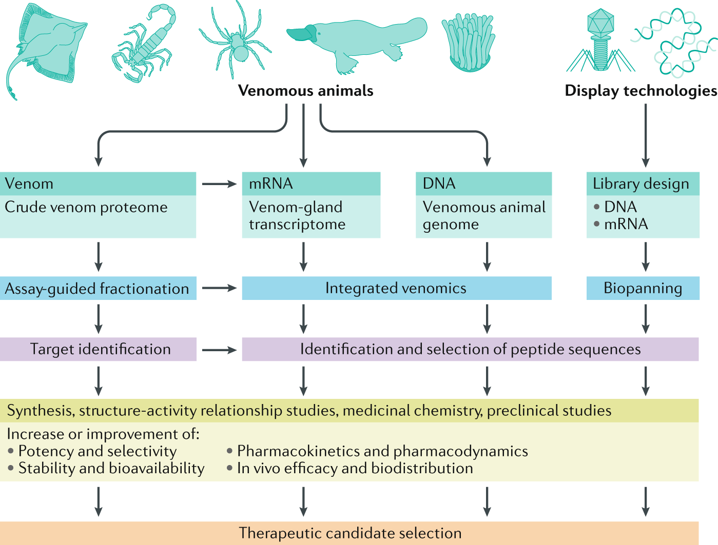 Nature Reviews Drug Discovery on Twitter "For readers interested in
