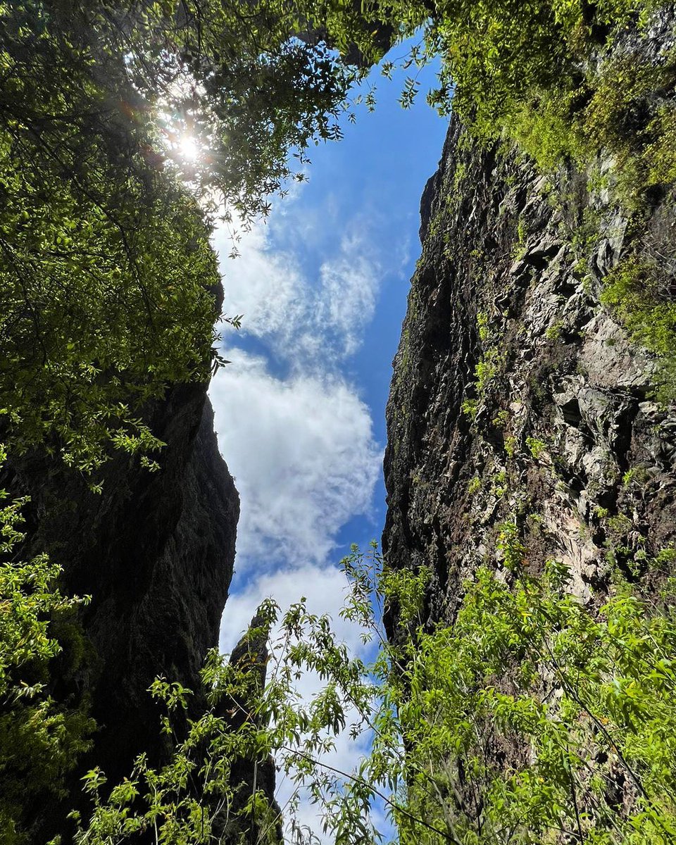 BcoInfierno's tweet photo. Look at this! It is amazing 🤩
Ready for the next adventure?
📍Adeje
ℹ️ + Info: https://t.co/9OEwtve8wb
#Sendero #Adeje #Barrancodelinfierno #turismo #Tenerife #naturaleza #pateos #trail #Schlucht #Tourismus #Natur #wander #wandern #tourism #experience @barrancodelinfierno https://t.co/4SoRwppTNA