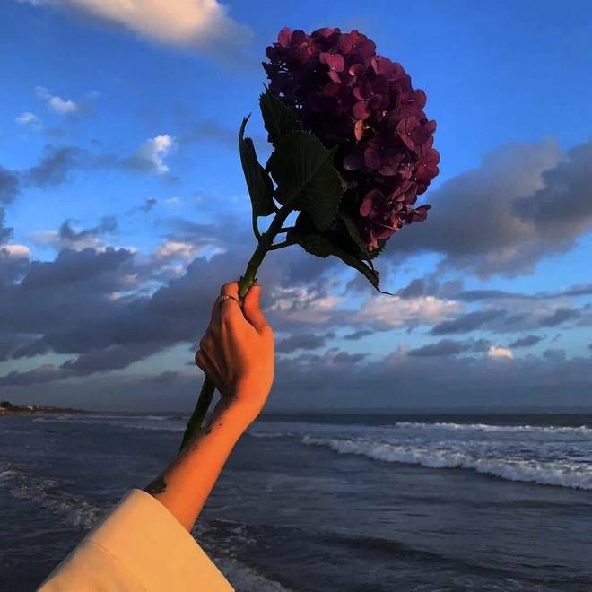 ykss7's tweet photo. Happy 520, have you spent this most important holiday with your loved one today? https://t.co/hsXAXnoGks