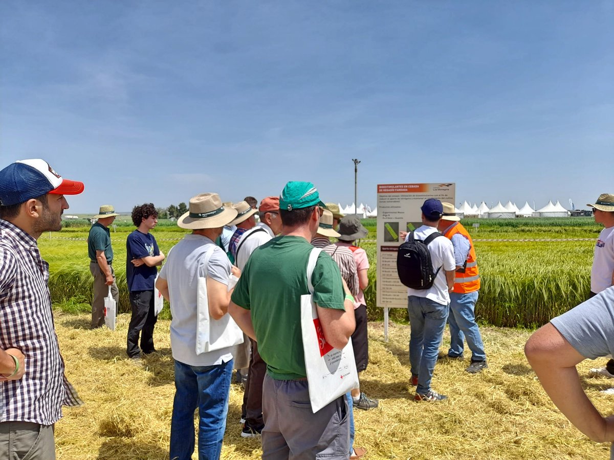 ETSEAFIV_UdL's tweet photo. El Grau d'Enginyeria Agrària i Alimentària #geaa va assistir ahir a la @cultiva_jornada i va visitar Jamcal Alimentación i la Granja Perales de @GrupoPastores, entre d'altres. 🤩 Moltes gràcies per acollir-nos! 💚
#vallscompanys #jornadacultiva @UdL_info @udlsiau @AgroJAlvarez https://t.co/DeKXdUnY4w