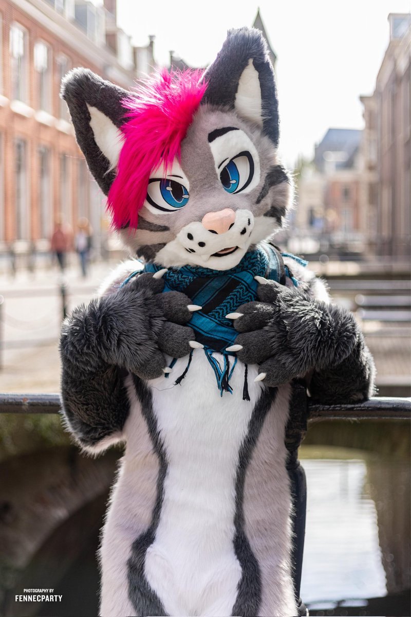 Who, me? 👉👈
Happy #FursuitFriday! 📸<a href="/FENNECPARTY/">MYLO 🦊📸</a>