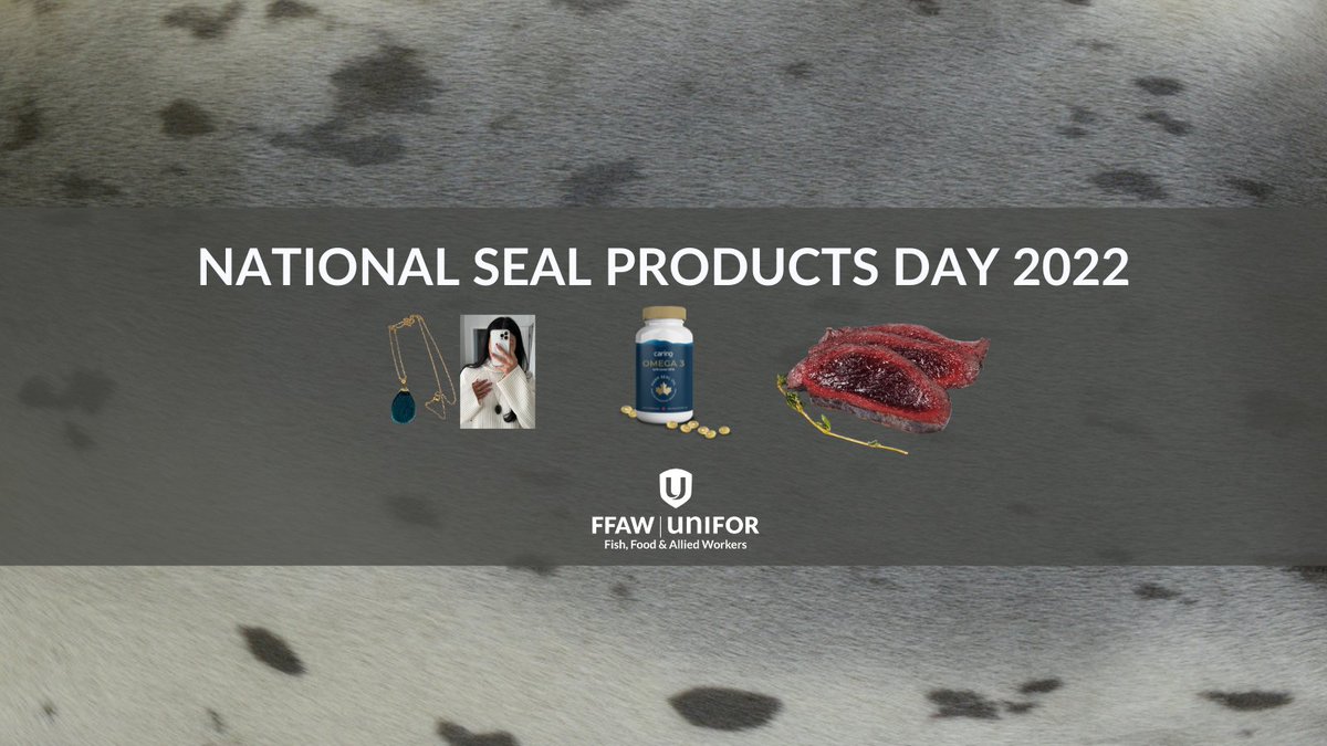 🦭 Happy #NationalSealProductsDay! Celebrated first in 2017, today is about recognizing &amp; honouring the historical, social, cultural, &amp; economic contributions that seals represent for our communities. 
<a href="/TaylorsFishMar1/">Taylor's Fish Market 834-8638</a> <a href="/NaturalNL/">NaturaL boutique</a> <a href="/Always_In_Vogue/">Always in Vogue</a> <a href="/BidgoodsGrocery/">Bidgood's Supermarket & Liquor Store</a> <a href="/CANSealProducts/">Canadian Seal Products</a>