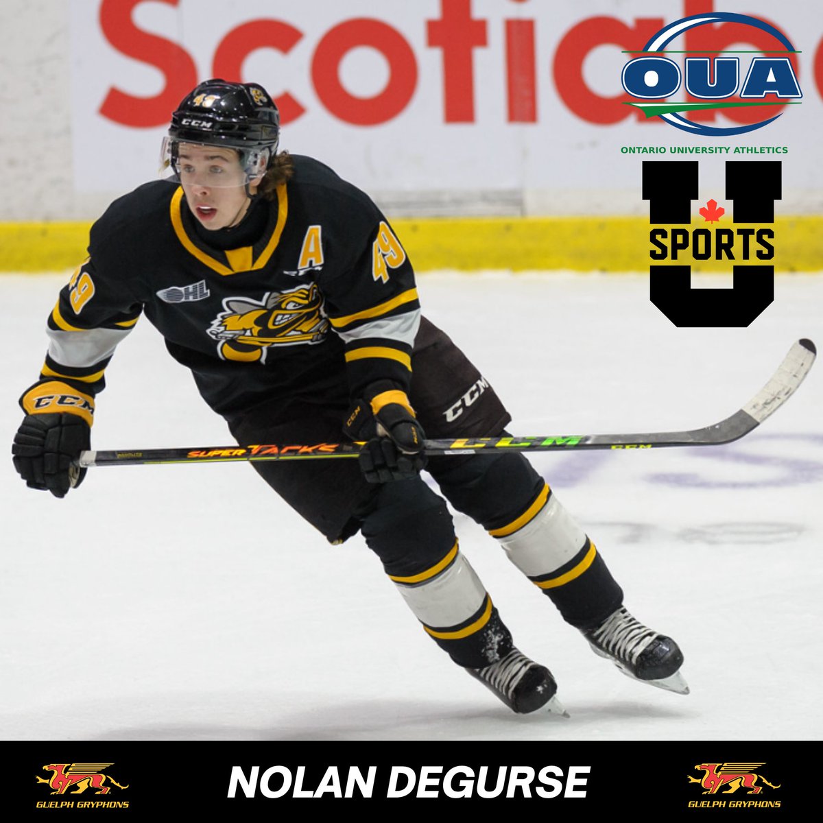 2022-2023 RECRUIT ANNOUNCEMENT: We are very excited to welcome Forward, Nolan DeGurse from the Sarnia Sting in the <a href="/OHLHockey/">Ontario Hockey League</a> to our Gryphon Hockey Family! #Culturebeatsstrategy