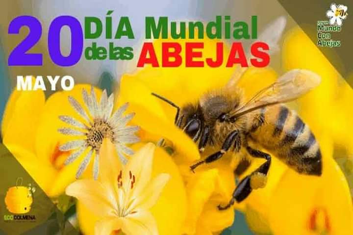 Las abejas no sólo hacen miel. Hacen algo esencial para la diversidad de las plantas en el 🌍: la polinización. Su preservación y la de su hábitat nos beneficia a todos.
#Diamundialdelasabejas 
#ConsevarParaVivir 
#CubaViveYTrabaja
