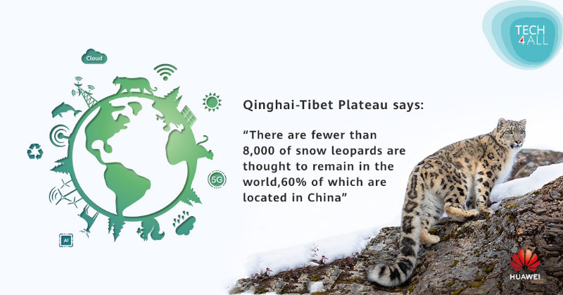 HUAWEI_TECH4ALL's tweet photo. International Day for Biological Diversity is just around the corner! In today’s #WhattheEarthSays, learn how tech is used for snow leopard conservation &amp; let us know if anything caught your eye! Read more: https://t.co/QzKs7Qm178 #BiodiversityDay #Tech4ABetterPlanet #TECH4ALL