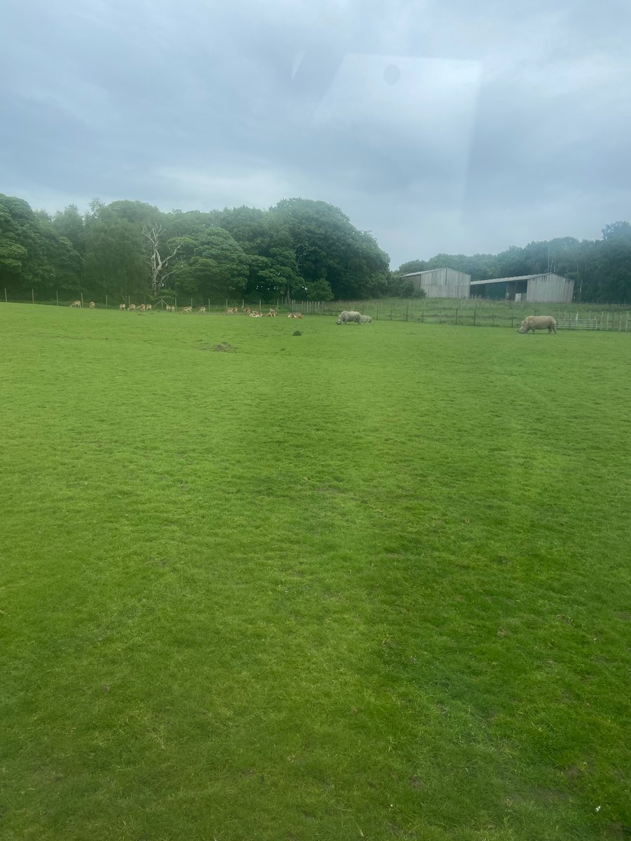 Rec_WCP's tweet photo. Year 1 are have had an amazing adventure at @KnowsleySafari https://t.co/IgDszmvQ5u