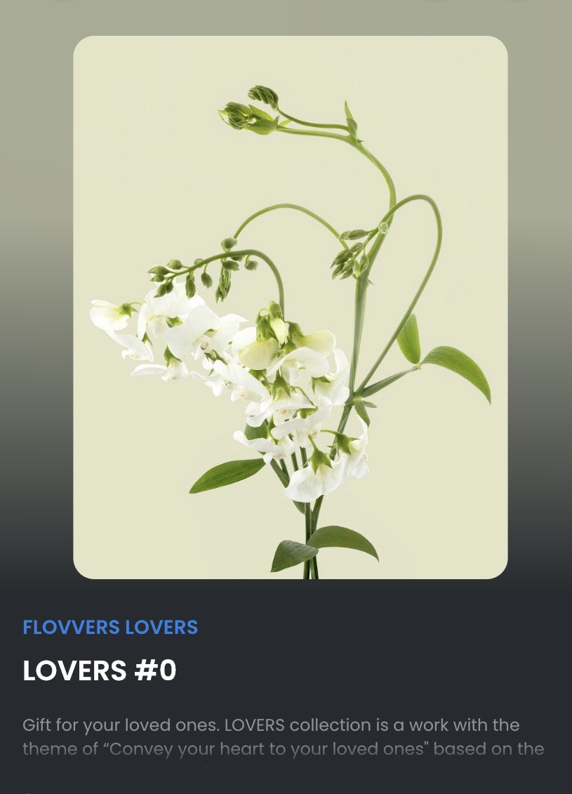 flovvers_io's tweet photo. The FLOVVERS collection will be starting soon @opensea

LOVERS series
Gifts for your loved ones

世界で一つしかない花を
あなたの大切な人へ贈る

#NFT #NFTCommunity #NFTArt 
#nftphotography #NFTProject https://t.co/hc8mPztmWF