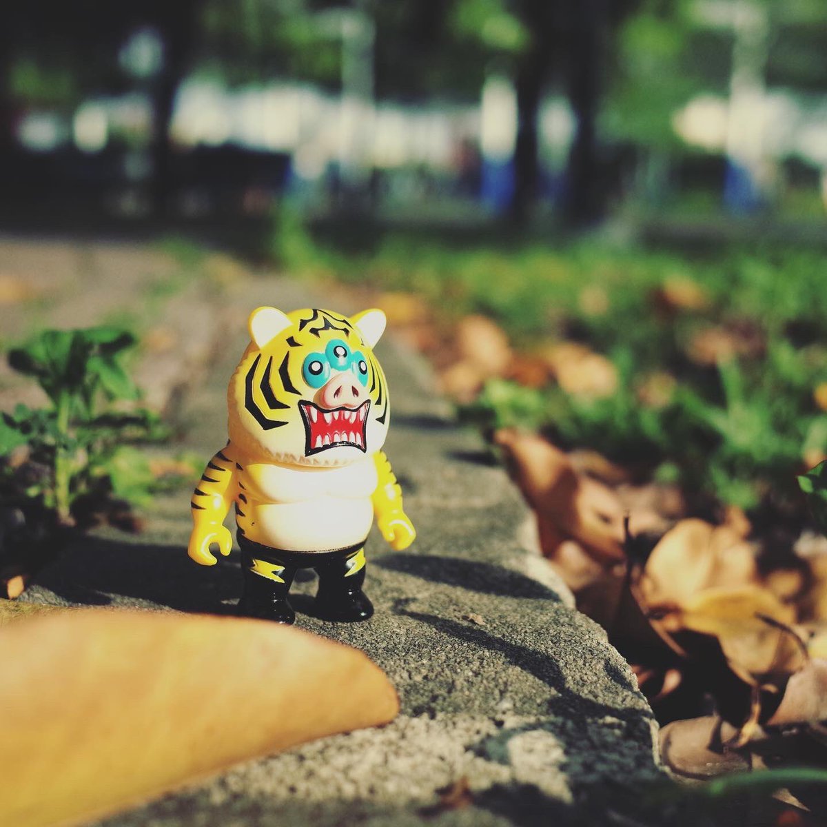 FreddyChen918's tweet photo. 三眼豬虎

#VAG
#miniBUTIGER
#BUTIGER https://t.co/OVWzI3Bf1P