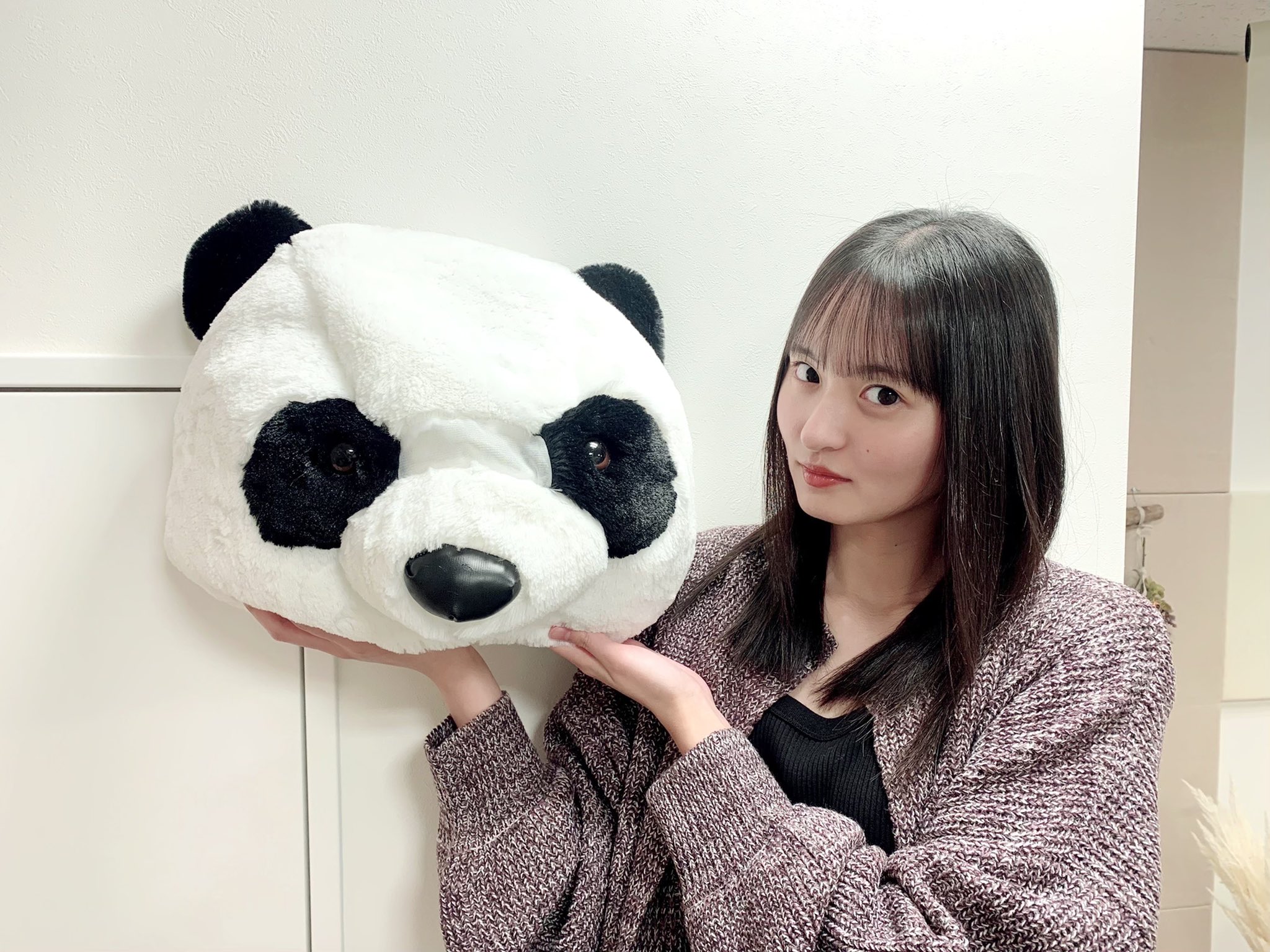 乃木坂46 on X: 