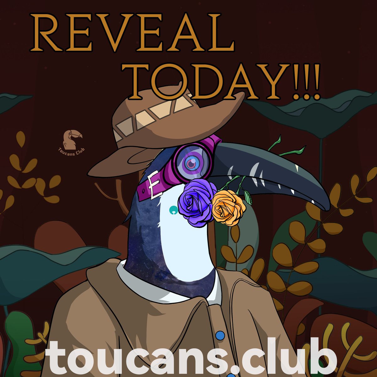 Toucans Club tweet media