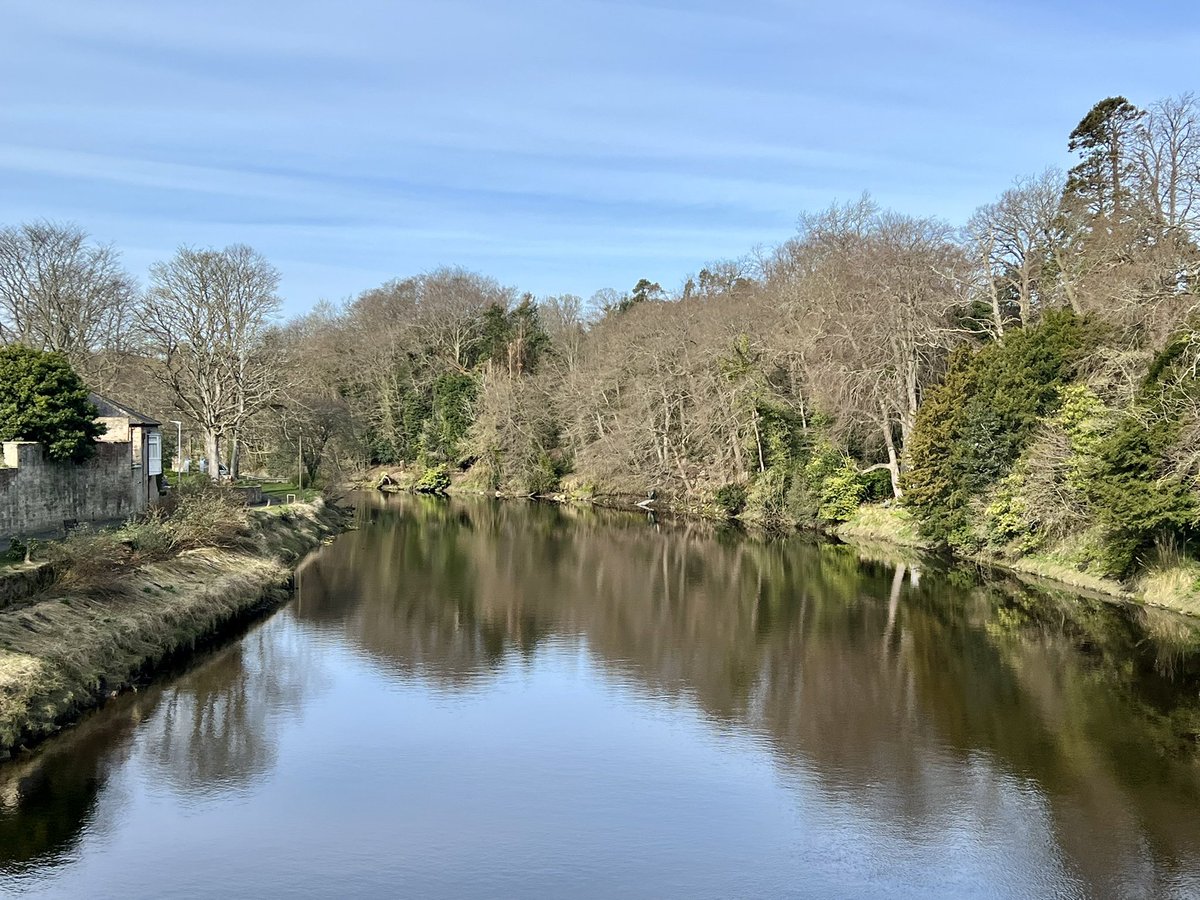 Stephanie Holt🦊 tweet media