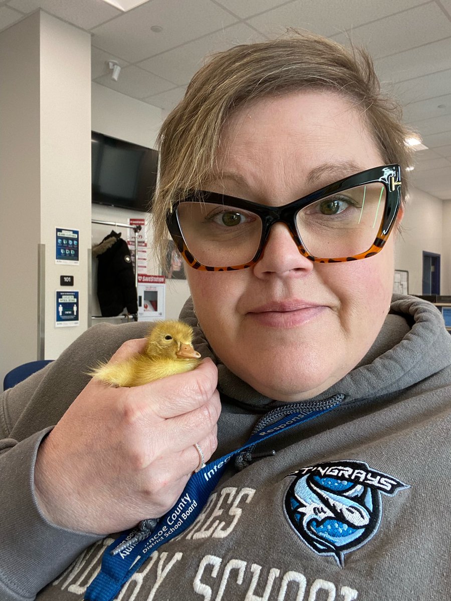 Our newest Stingray ‘peeps’ into the @SSSSMidland campus, morning cuddles for wellness <a href="/SSEssaCampus/">Simcoe Shores SS - Essa Campus</a> <a href="/LL_MSmith/">LL Millard-Smith</a> <a href="/SCDSB_Schools/">Simcoe County District School Board</a>