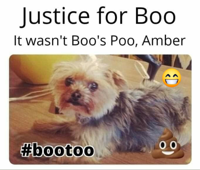 emmsiejayne's tweet photo. #JusticeForJohnnyDeep
#BooToo https://t.co/EYgVGfaW7V