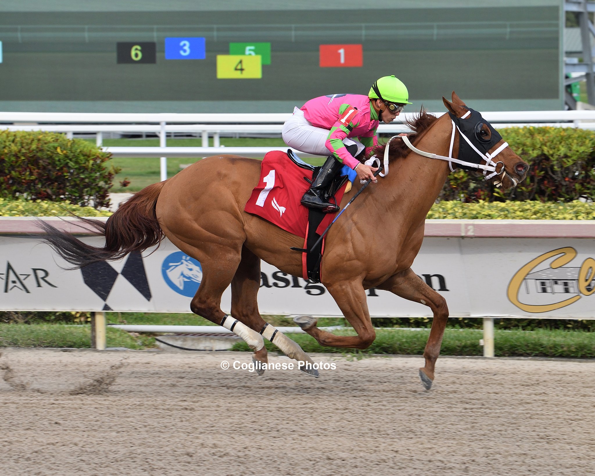 daily-racing-form-gulfstream-sharp-rivals-meet-for-the