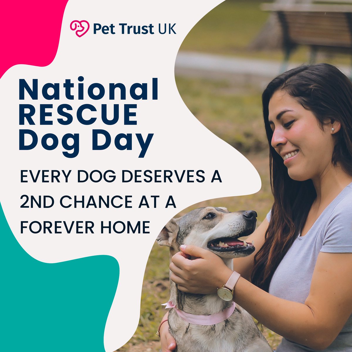 PetTrustUK's tweet photo. NATIONAL RESCUE DOG DAY bringing awareness to the countless number of amazing dogs in shelters #rescuedog #rescuedogsofinstagram #rescuedogs #rescuedogsofinsta #rescuedogsarethebest #nationalrescuedogday @RealPOGDogs @Battersea_
@OURDOGSNEWS @DogsTrust @TheKennelClubUK https://t.co/1lmbbB1Jyh