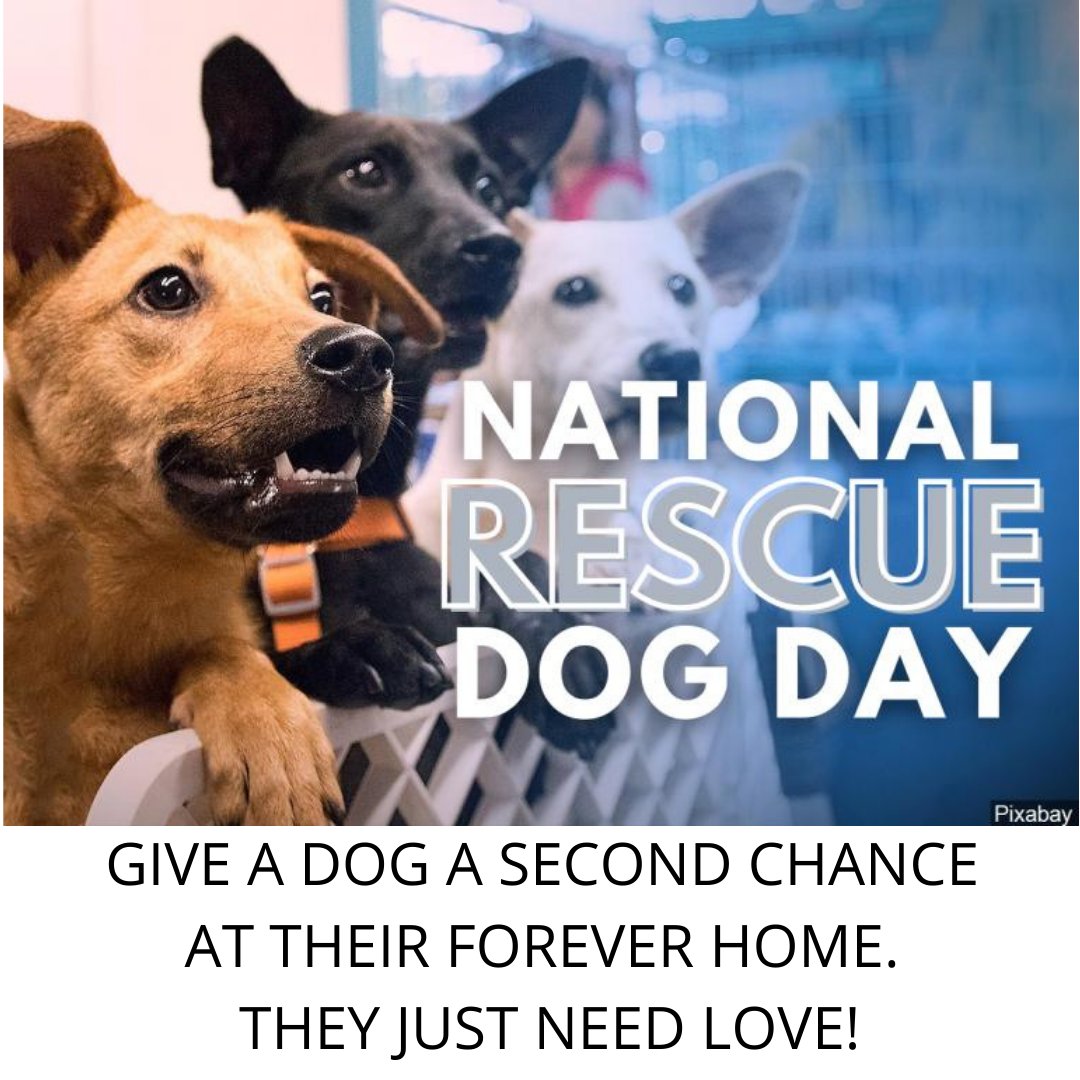 NDVets's tweet image. 