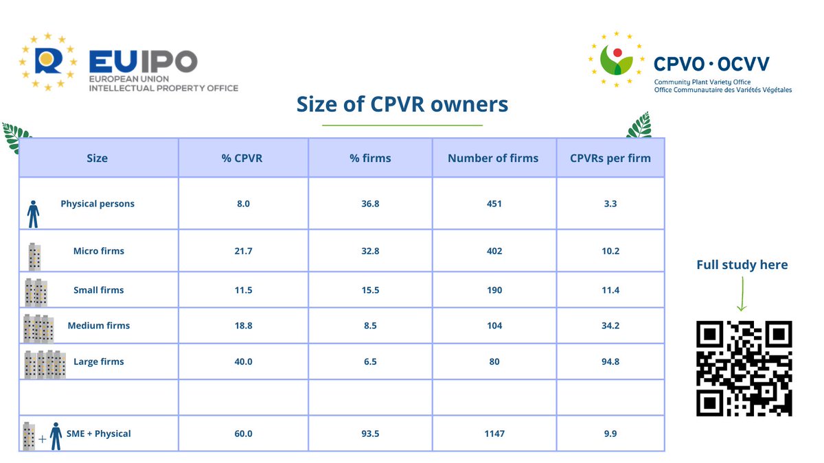 📊🌱Did you know that more than 93% of #CPVR owners are #SMEs and between them, they own 60% of CPVRs in force ?

📌Check out the study jointly published with the 
@EU_IPO ⤵️

cpvo.europa.eu/sites/default/…

#NewPlantVarieties