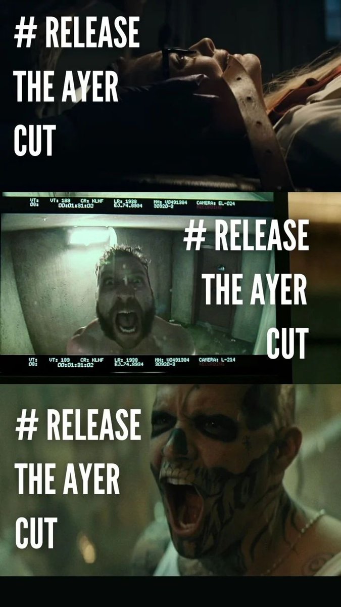 zSmiling_cat's tweet photo. #RestoreTheSnyderVerse #ReleaseTheAyerCut @hbomax https://t.co/GvhpeFoJ6x