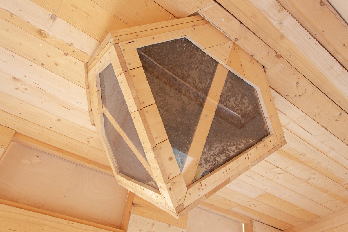 Airbnb's tweet photo. sleep (safely) amongst 1M bees in this air bee-n-bee 🐝 #worldbeeday https://t.co/JaLjGlRf9S