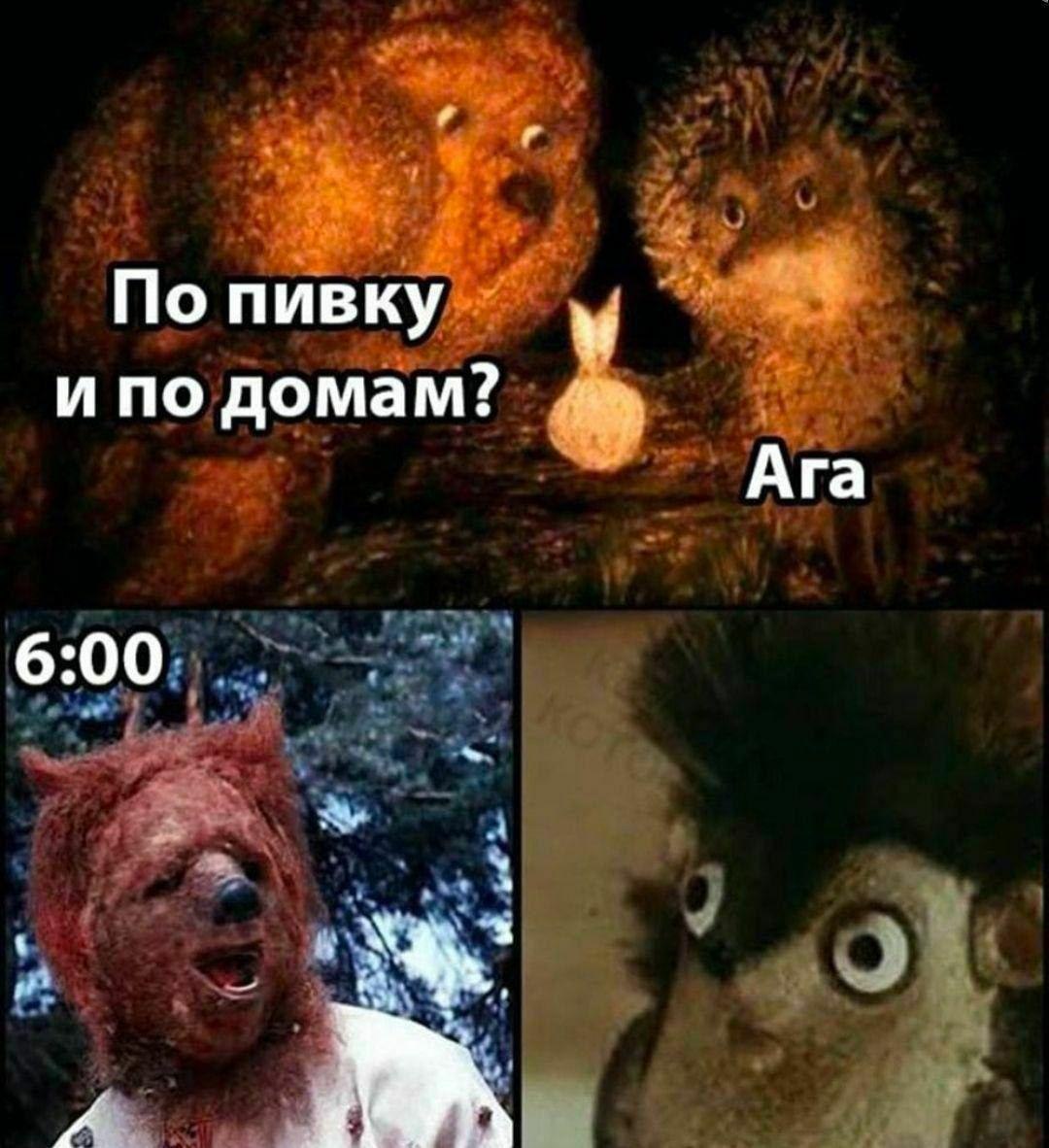 бухаете тогда я иду к вам картинки