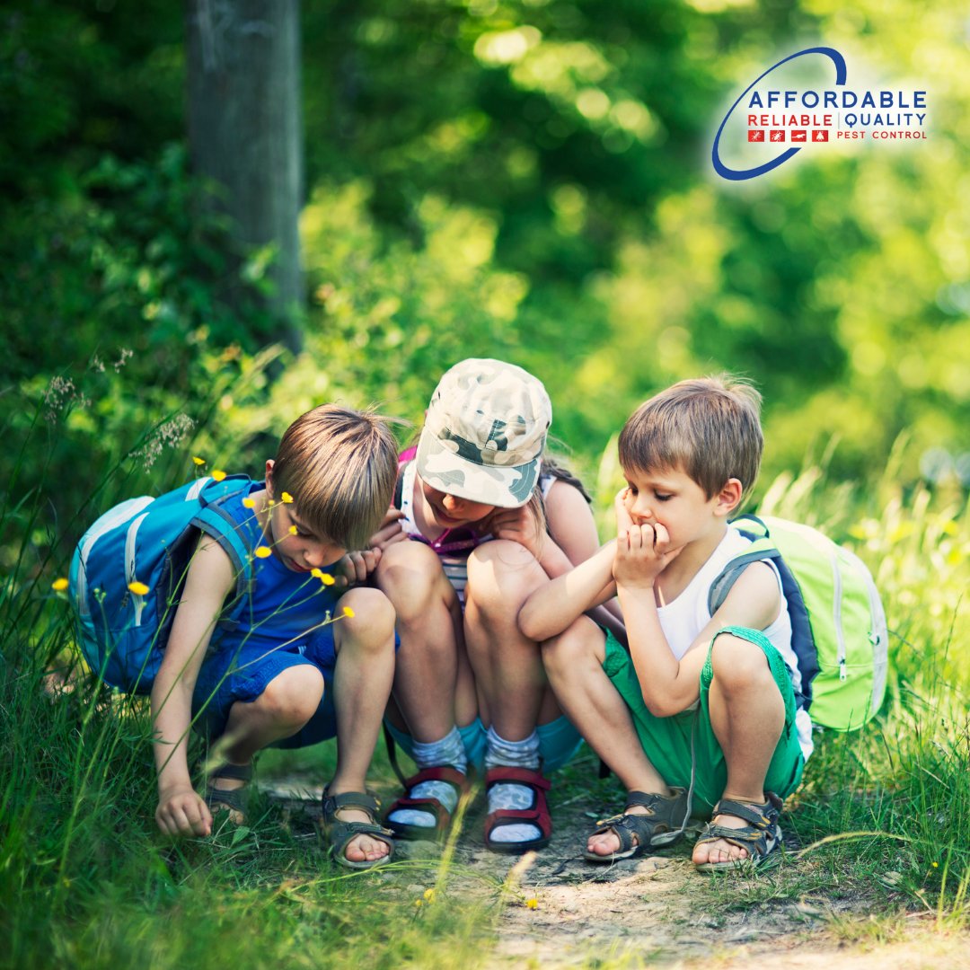 Does your child have a "least favorite bug?" Ask them and let us know in the comments below! And remember to get your "before summer" pest control service to keep your kids safe from all the bugs!