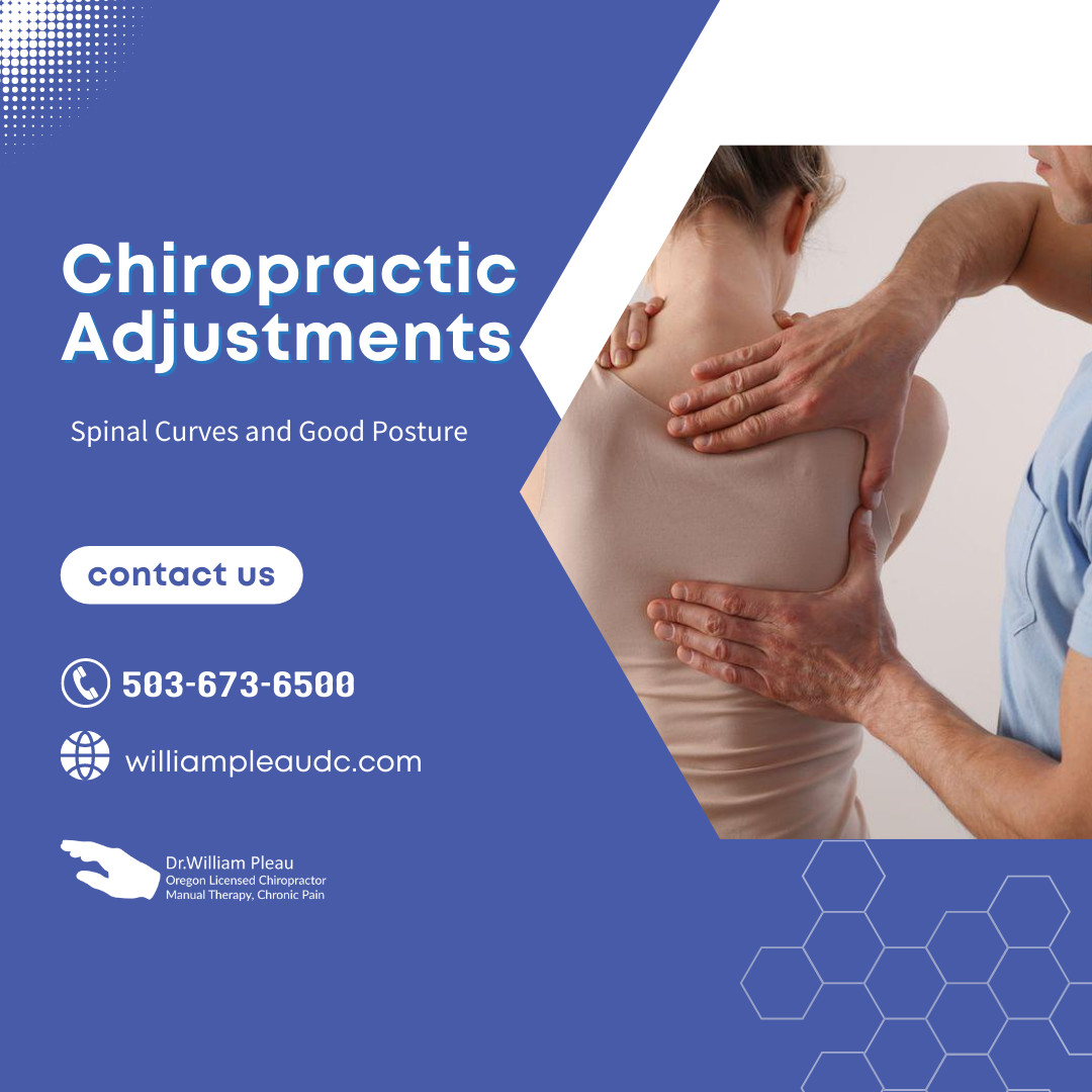williampleaudc's tweet image. Spinal adjustment and chiropractic adjustment are terms used by chiropractors to describe their approaches to spinal manipulation.